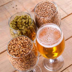 как из солода, хмеля и дрожжей получают неповторимый вкус и аромат